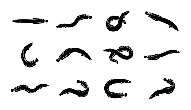 Black Leeches Vector Icons Set, Medical Parasites Collection, Blood Sucking Worms Silhouettes for Health and Science Graphics