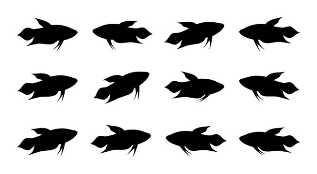 Betta Fish Silhouettes Collection, Siamese Fighting Fish Vector Icons, Aquatic Animal Graphics, Underwater Marine Life Design Elements