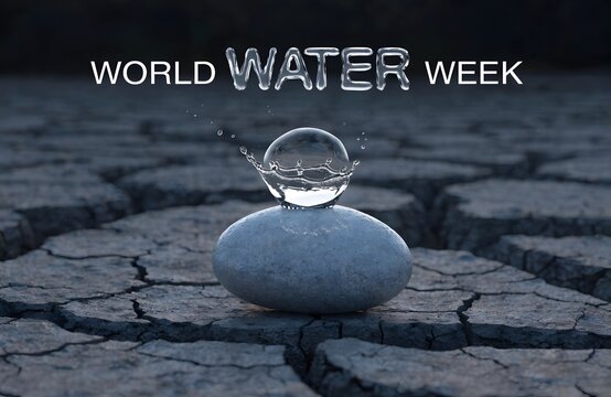 World water week concept with a clear drop on a stone in dry cracked earth