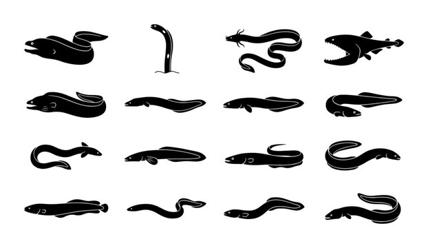 Eel Vector Icons Set, Marine Life Silhouettes, Underwater Creatures Collection, Aquatic Animal Graphics