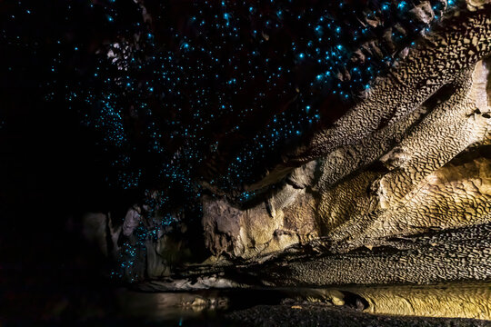 Low angle view of illuminated Arachnocampa luminosa in Waipu cave, New Zealand