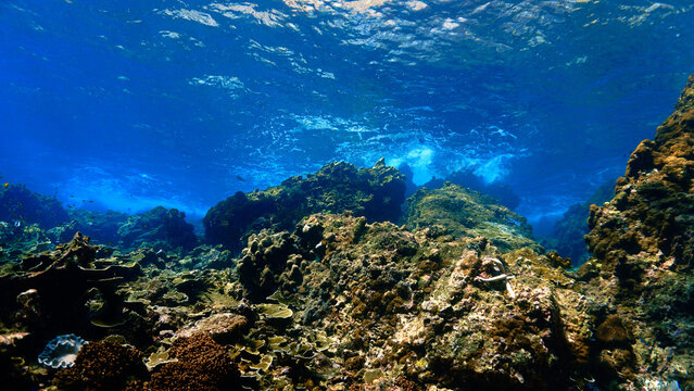 Dreamlike underwater photo - Beautiful underwater landscape and coral reef in rays of sunlight. 