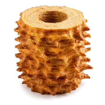 Sękacz