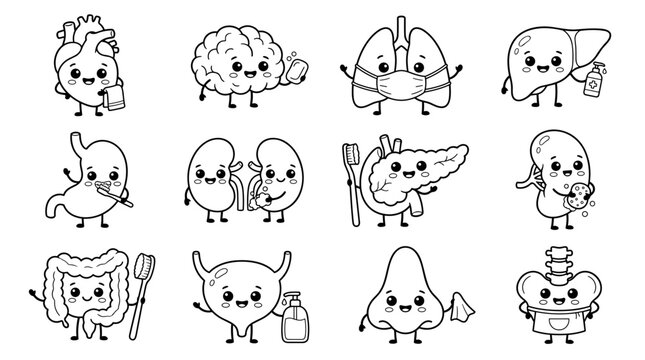 Set of human internal organs with cute faces, outline drawing for anatomy education, medical icons, healthy lifestyle, biological body systems
