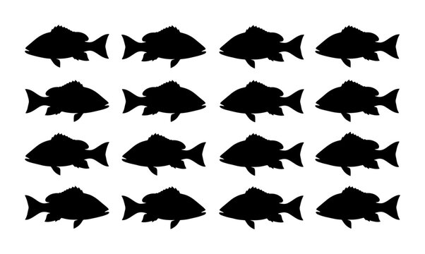 Silhouette Fish Collection, 16 Black Aquatic Animal Icons, Simple Seafood Vector Graphics for Marine Life and Fishing Themes