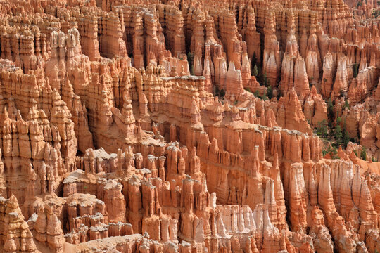 hoodoos
