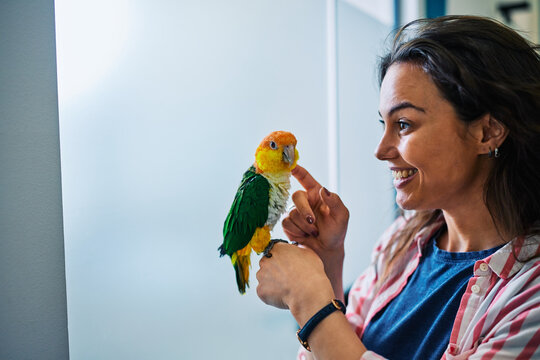 Woman interacting with happy caique parrot pet on hand