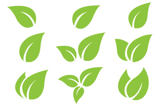 Leaf sprout icon vector set, green leaves plant eco logo symbol simple graphic illustration set, vegan fresh herb pictogram shape sign, organic natural healthy logotype eps 10