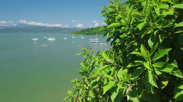 Aerial view of the sea coastline near the town of Paraty in Brazil