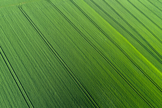 Aerial View of abstract green agricultural field, springtime, Franconia, Bavaria, Germany
