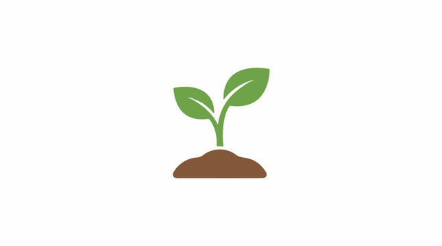 A single green sprout with two leaves emerges from brown soil