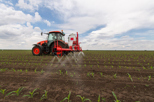 Agricultural sprayer applying crop protection on young corn field