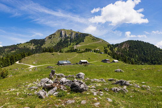 Scenic view of Schafberg mountain and alpine pasture in Austria