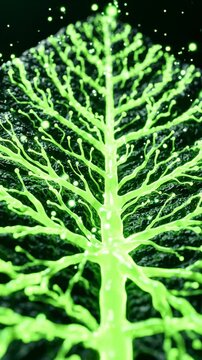 Abstract Macro View of Glowing Green Plant Leaf Veins Highlighting Natural Biological Vascular Structure