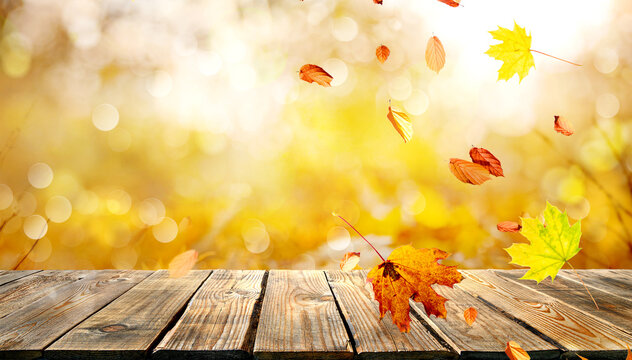 orange fall  leaves and old wooden board, autumn natural background