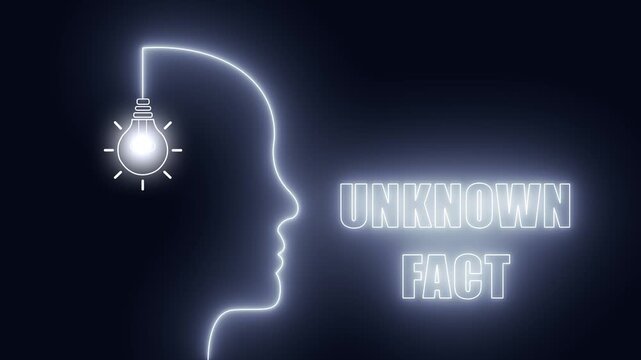 Neon human head outline with glowing light bulb for unknown fact content and mysterious research based educational videos