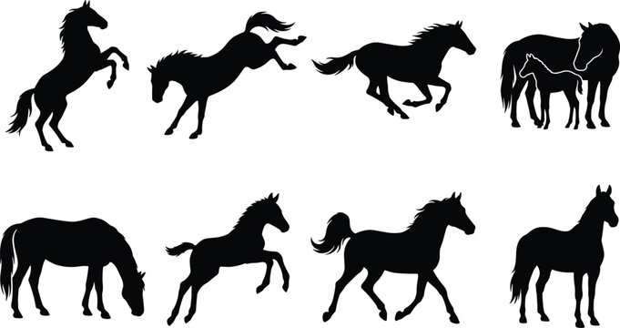 Collection of horse silhouettes in various poses including running, rearing, grazing, and mare with foal isolated on white background