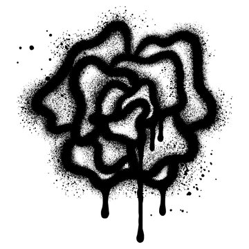 Rose flower in urban graffiti style with black spray paint. vector illustration.