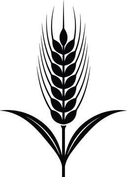 Wheat Ear Icon Set Vector, Black Wheat Spike Symbol, Grain Cereal Agriculture Logo, Minimal Wheat Silhouette Collection .