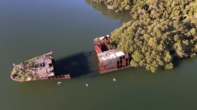 Shipwreck with forest growing out of its rusty hull on sunny day from aerial view. Wreck in located in Homebush Bay, Parramatta river, Sydney Australia. Camera orbits broken ship from stern to bow .