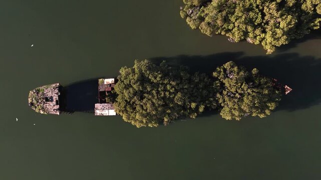 Shipwreck with forest growing out of its rusty hull on sunny day from top down aerial view. Wreck in located in Homebush Bay, Parramatta river, Sydney Australia. Camera slowly rotates ccw over ship.