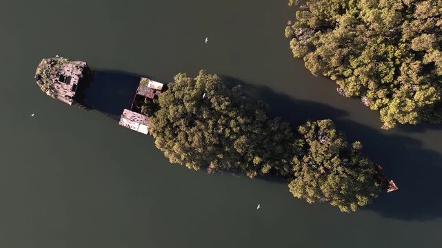 Shipwreck with forest growing out of its rusty hull on sunny day from top down aerial view. Wreck in located in Homebush Bay, Parramatta river, Sydney Australia. Camera slowly rotates cw over ship.