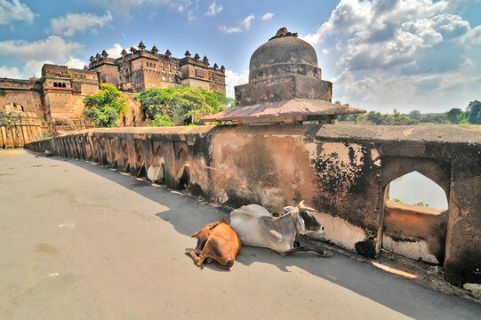 Jahangir Mahal, Citadel of Jahangir - a citadel and garrison located in Orchha, Madhya Pradesh, India.