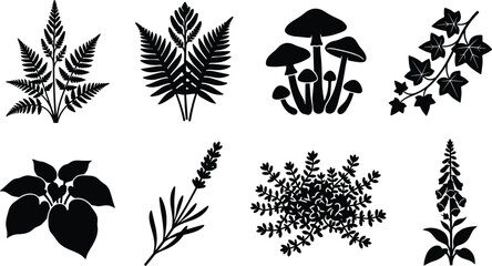 Set of black and white forest plant, fern, mushroom, ivy, and wild flower silhouettes for botanical design © Mst