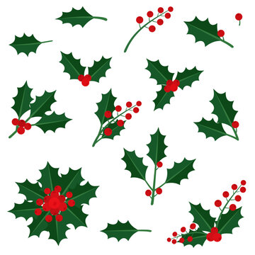 Collection of traditional Christmas holly branches, green leaves and red berries elements for festive winter holiday graphic design, patterns and greeting card ornaments (cut out)
