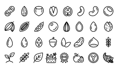 Nuts and Seeds Editable Stroke Outline Icons Set with Peanut Almond Coconut Cocoa and Agriculture Symbols © MdAlAmin