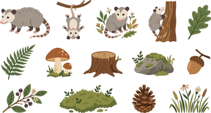  Delightful vector illustrations of opossums in various poses, forest flora, and natural woodland elements on white.eps