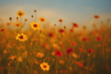 Obraz premium Vibrant wildflowers under sunlight