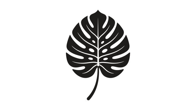 Monstera Deliciosa Leaf Silhouette Icon Isolated on White Background
