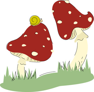 Fly agaric mushrooms and snail in cartoon style