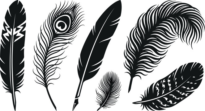 Bird Feather Silhouette Set with Peacock Plume, Quill Fountain Pen, Tribal Native Patterns, and Fluffy Ostrich Wing Vectors