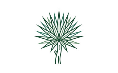 Obraz premium Stylized Fan Palm Leaf Vector Illustration