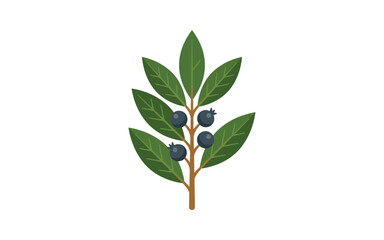 Fototapeta premium Blueberry Branch Flat Vector Illustration