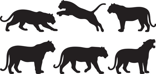 Big Cat Silhouette Vector Set Collection, Wild Feline Black Silhouettes with Walking, Jumping, Standing and Roaring Poses © MirazHossain