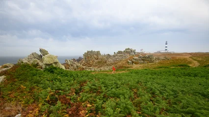 panorama du sentier gr 34 passant au milieu des fougeres sur  l'ile d'ouessant en Bretagne, à la pointe du Creac'h avec un randonneur. © jmbreizh