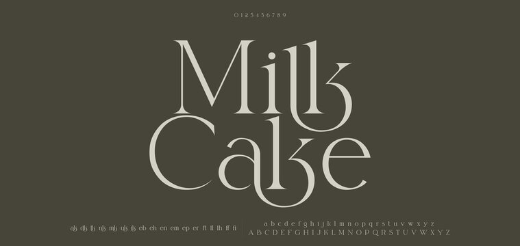 Elegant luxury modern beauty logo alphabet font. Typography beautiful fashion classic letters serif italic fonts decorative wedding vintage logos. vector illustration