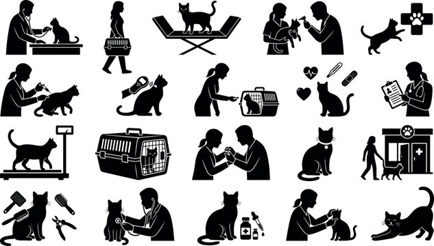 Set of veterinary icons with cats, including medical examination, grooming, and care