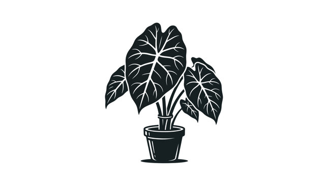 Potted Elephant Ear Plant Silhouette, Tropical Houseplant Vector