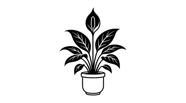 Potted peace lily plant vector illustration, black and white silhouette