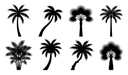 Fototapeta premium Eight Tropical Palm Tree Silhouettes Black Vector Collection for Beach Nature and Travel Design