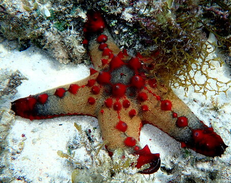 Philippines