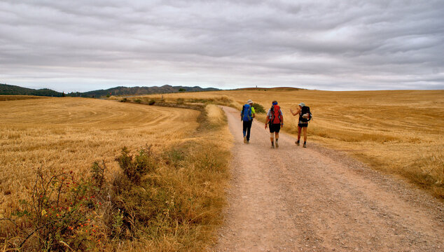 The Challenge of the French Way: Villamayor de Monjard&iacute;n to Los Arcos, Spain