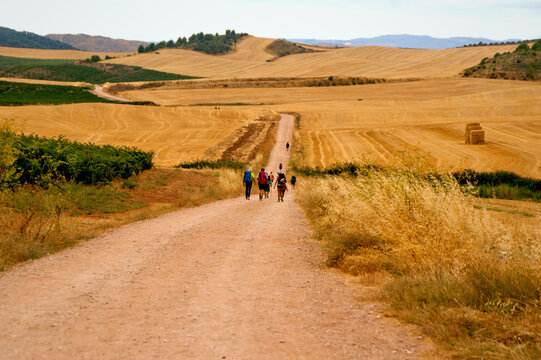 The Challenge of the French Way: Villamayor de Monjard&iacute;n to Los Arcos, Spain