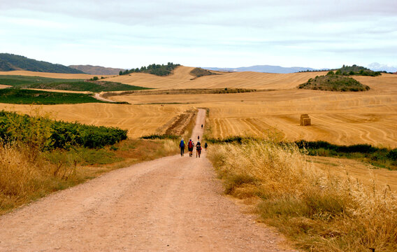 The Challenge of the French Way: Villamayor de Monjard&iacute;n to Los Arcos, Spain