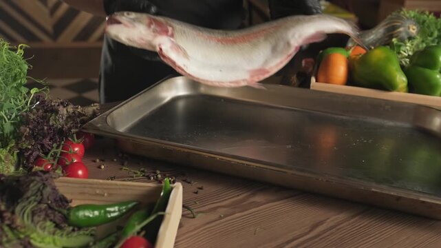 Chef in gloves throwing fish on a tray standing on a table among herbs and vegetables