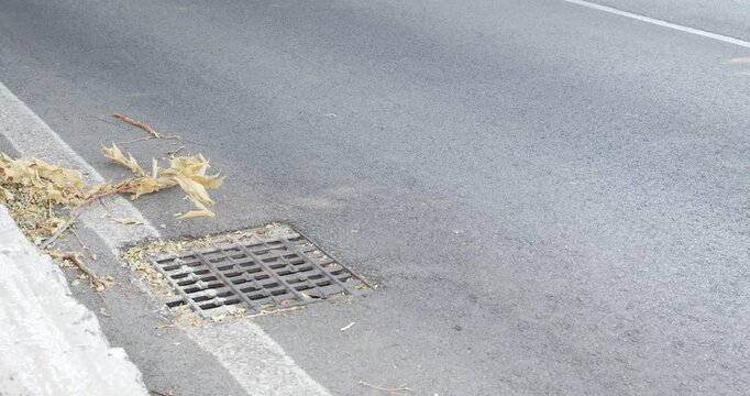 A close-up view of a metal storm drain grate installed along a concrete street curb on an asphalt road surface, with dry plant debris gathered nearby under soft daylight.